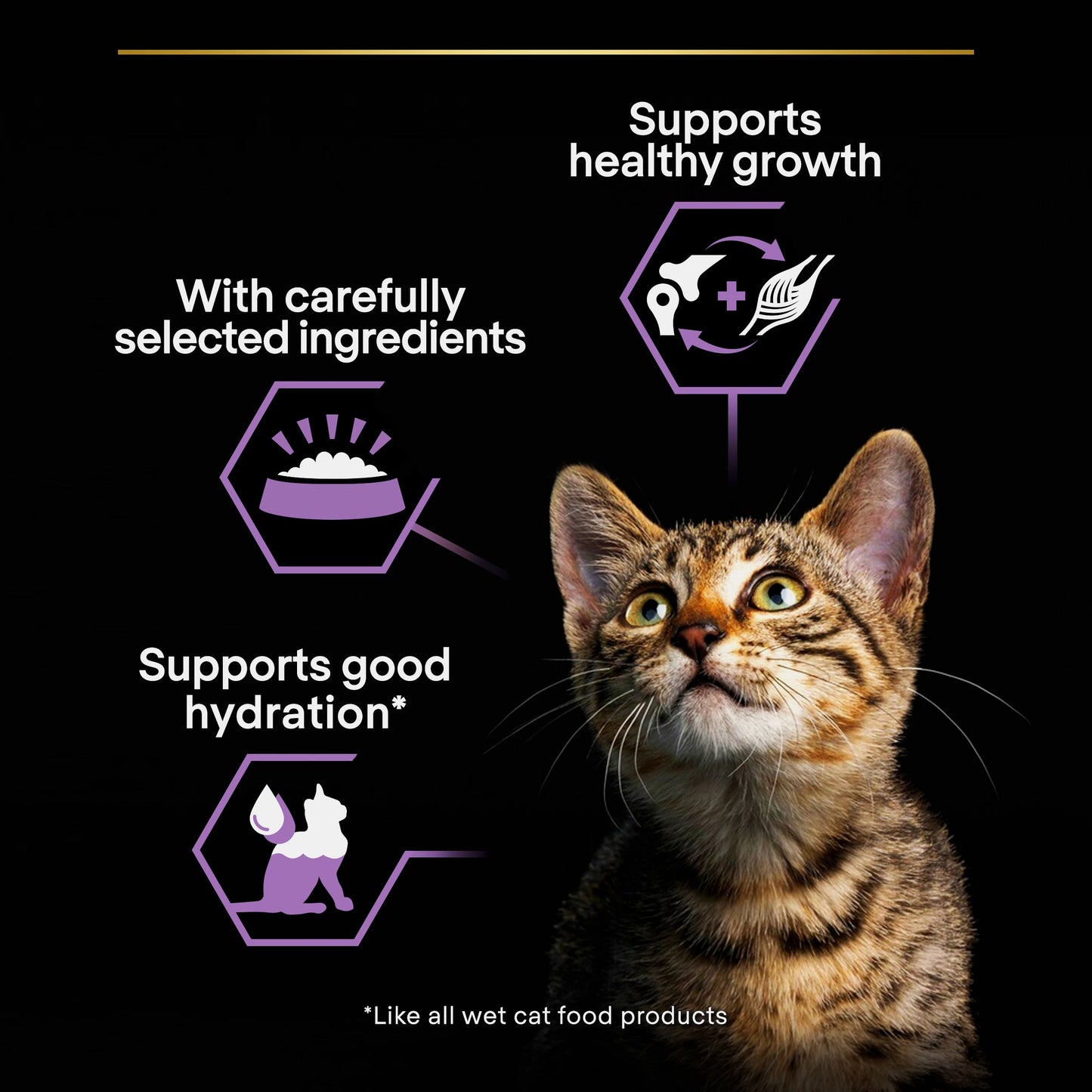 Pro Plan Baby Kitten Mousse Wet Cat can with Chicken, 24x85g