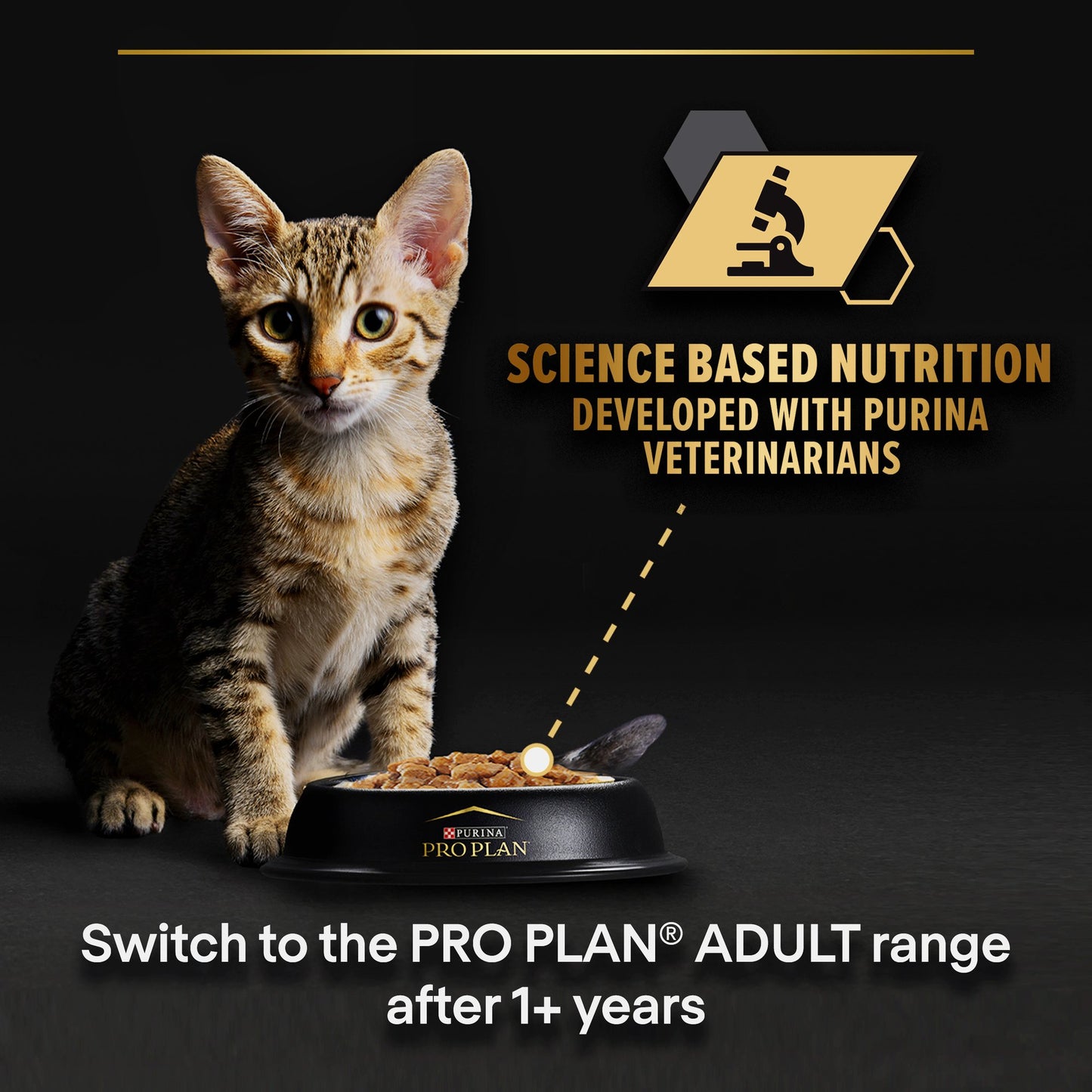 Pro Plan Baby Kitten Mousse Wet Cat can with Chicken, 24x85g