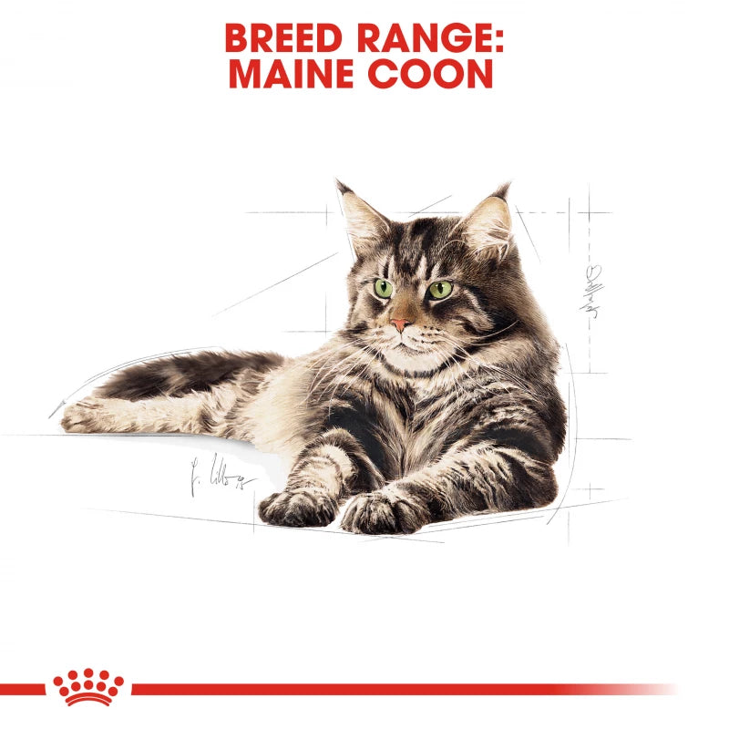 Royal Canin - Adult Maine Coon Cat Dry Food 2kg