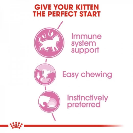 Royal Canin - Kitten Jelly 85g