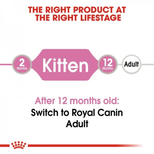 Royal Canin - Kitten Jelly 85g