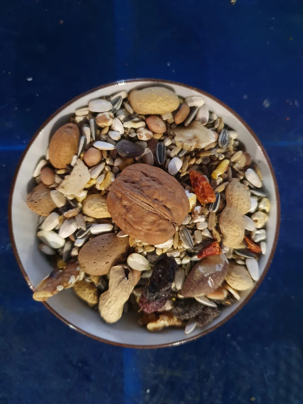 Premium Parrot Nut Mix 15kg - Deli Nature Exquisit Formula
