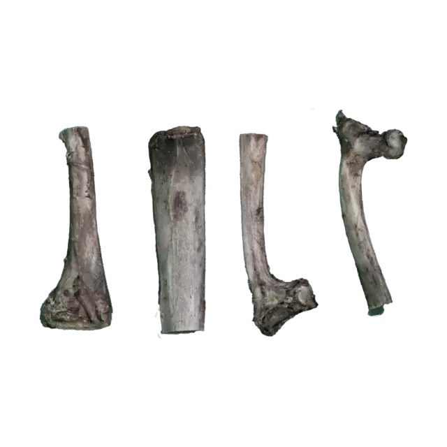 JO PRO DOG - Smoked Bone Ribs -1 PCS