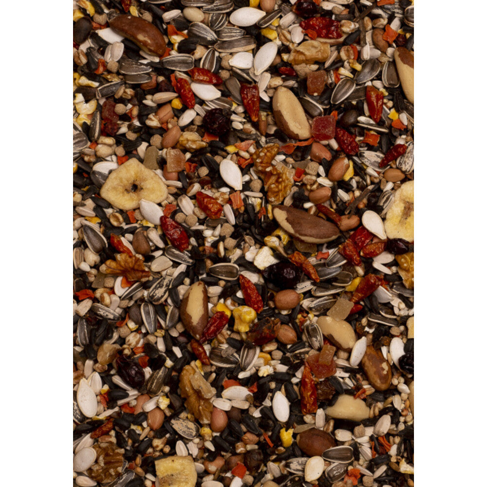 Premium Pantanal Parrot Food 750g - DELI NATURE Birdelicious