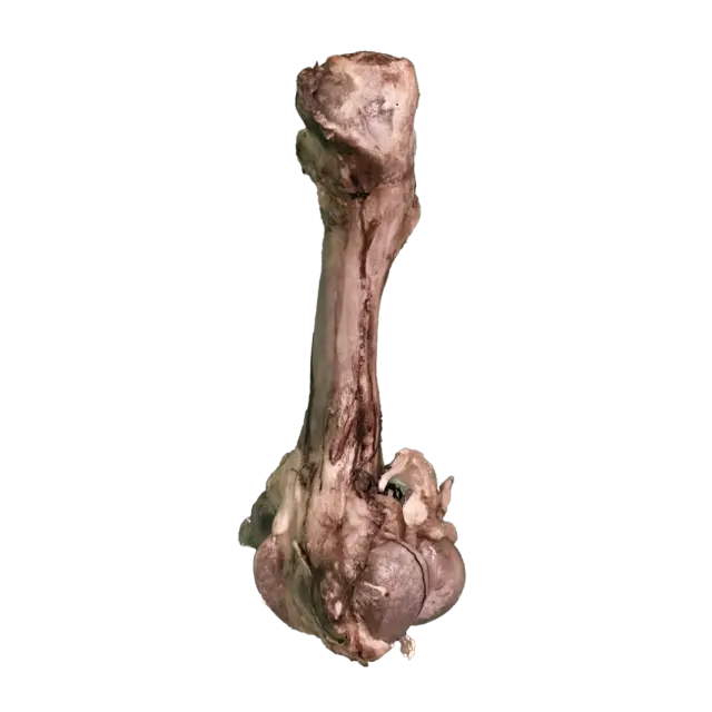 JO PRO DOG - Smoked Bone (M) - 1 PCS