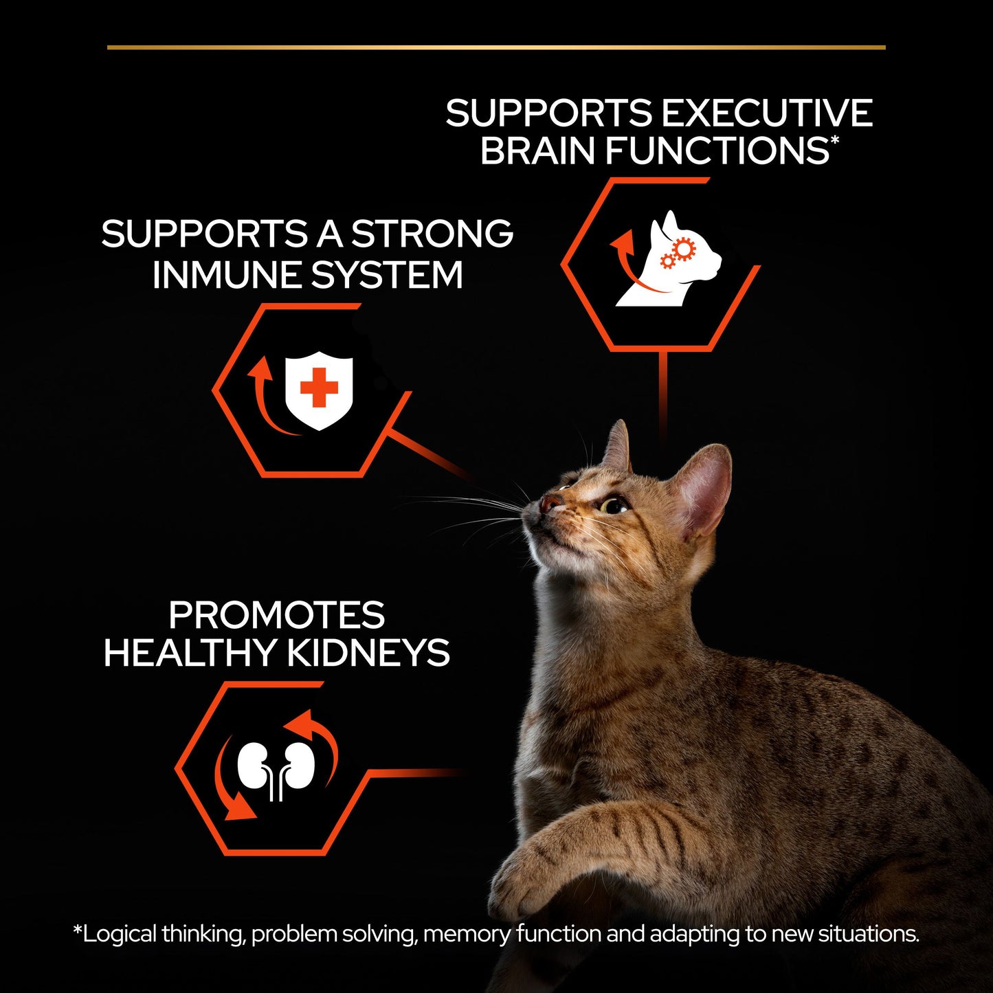 Pro Plan Adult Vital Functions Everyday Dry Cat Food with Salmon, 1.5 Kg