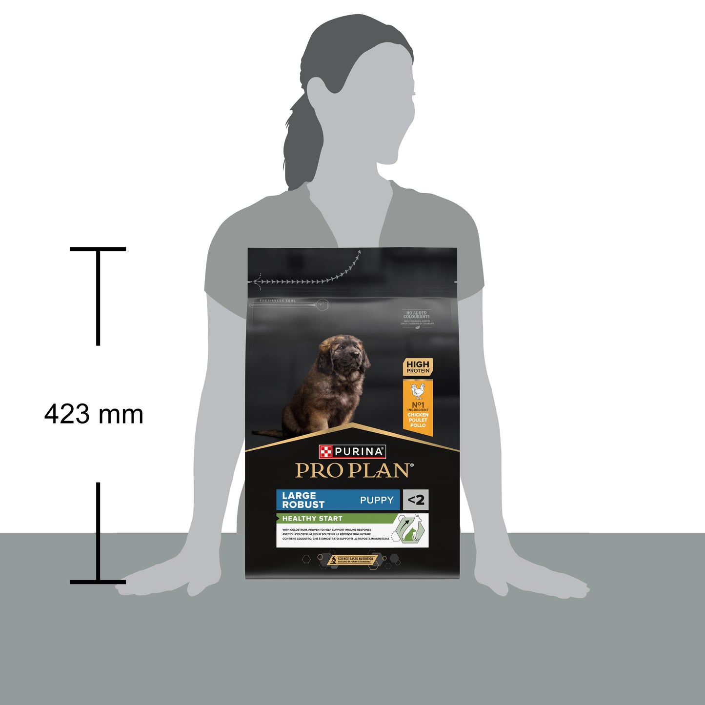 Pro Plan Healthy Start Large Robust Puppy, Dry Dog food with Chicken, 3 kg