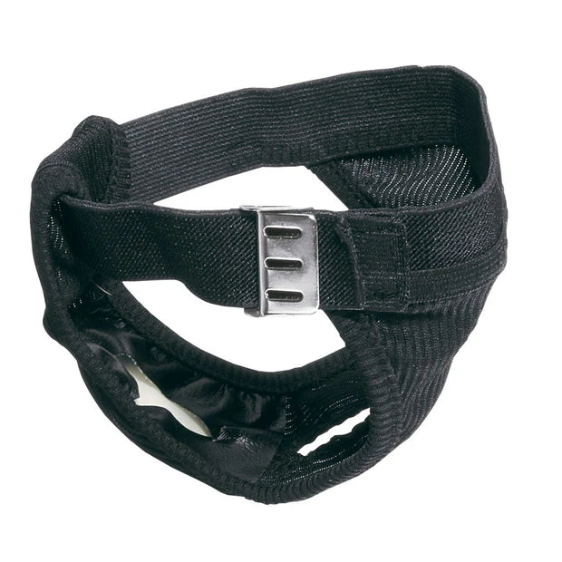 Black dog muzzle with a metal buckle on a white background