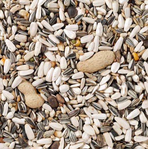 Premium Parrot Food Mix 15kg - Deli Nature Large Pack Formula