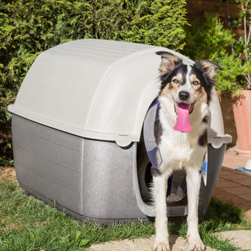 Dog standing in a gray outdoor dog house with a pink toy.