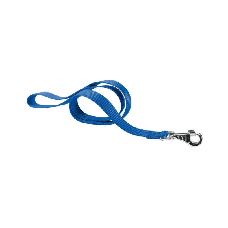 Blue dog leash with a metal clip on a white background
