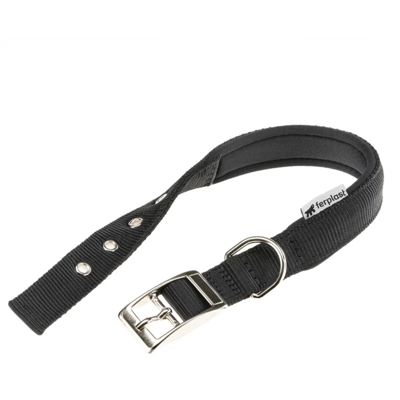 Black dog collar with silver buckle on a white background