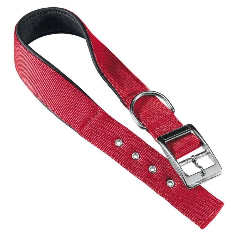 Red dog collar with a silver buckle on a white background