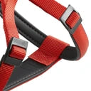 Red and black strap or belt with metal buckle on a white background