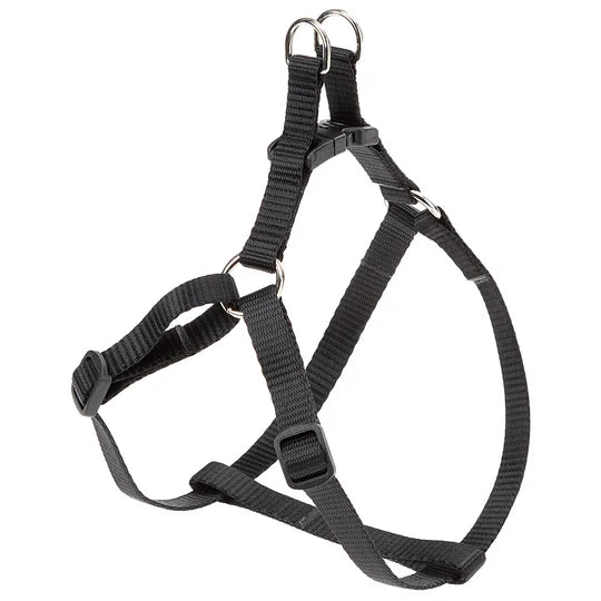 Black dog harness on a white background