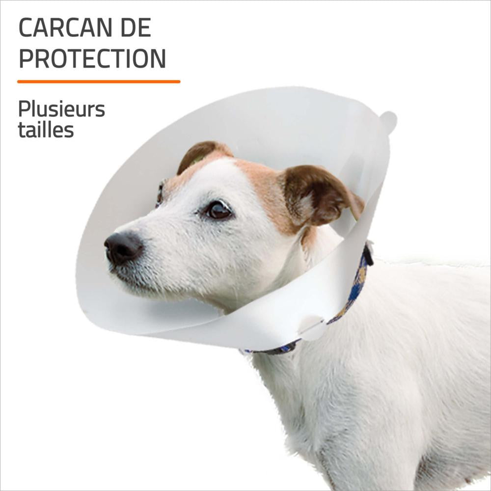 Dog wearing a protective cone with text in French indicating different sizes.