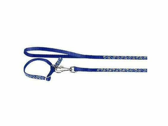 Blue dog leash with white pattern on a white background