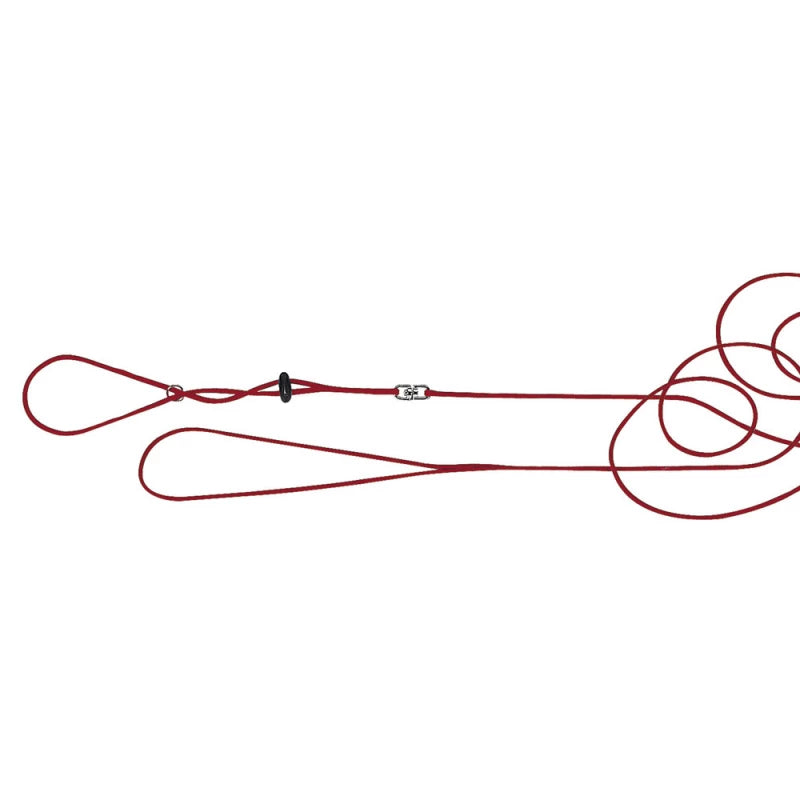 Red dog leash with a black clip on a white background
