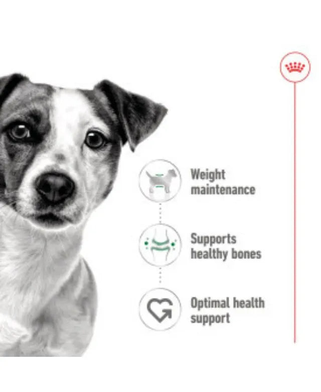 Royal Canin - Mini Adult Dog Food Loaf 195g