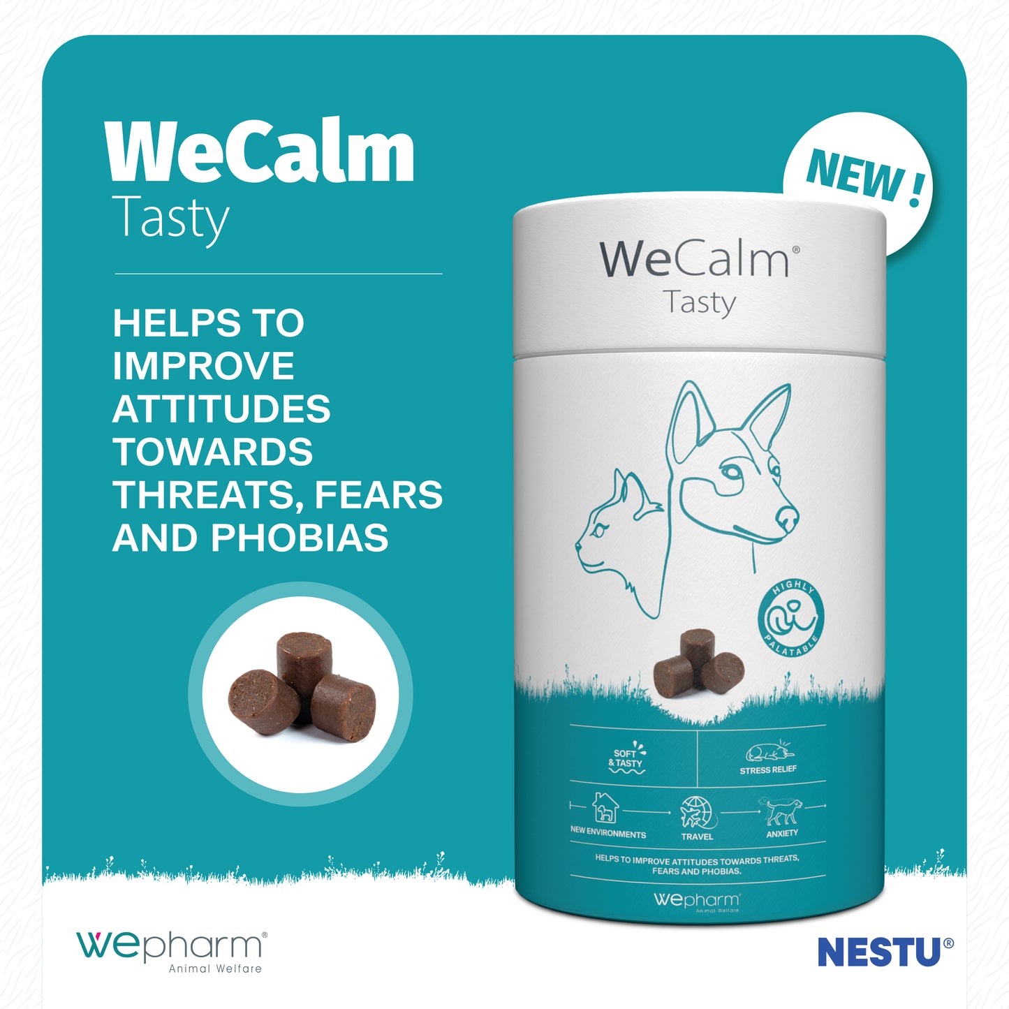 WeCalm Tasty product packaging with text on a teal background