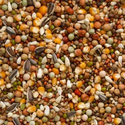 Premium Pigeon Racing & Breeding Food 25kg - BEYERS Olympia 47