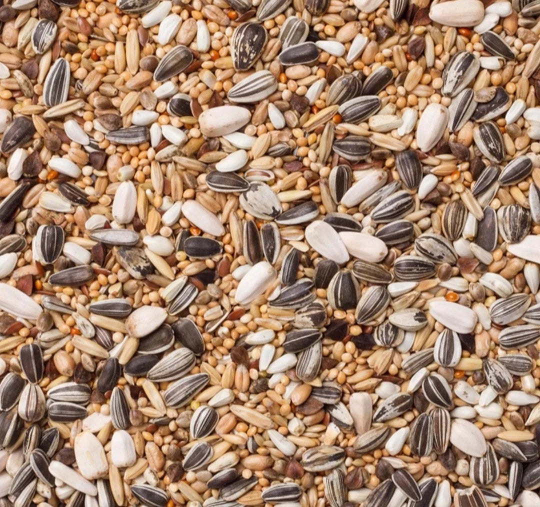 Premium Parakeet Seed Mix 20kg - Deli Nature Code 30 Formula