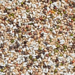 Premium Germination Seeds for Large Parakeets & Parrots 15kg