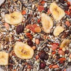 Premium Amazon Parrot Food 15kg - Deli Nature Amazonas Park