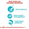 Royal Canin - Urinary Care Gravy Adult Cat Food Pouch 85g