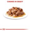 Royal Canin - Urinary Care Gravy Adult Cat Food Pouch 85g