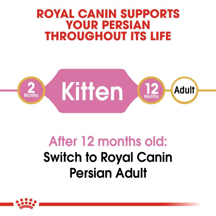 Royal Canin - Persian Kitten Dry Food 10kg