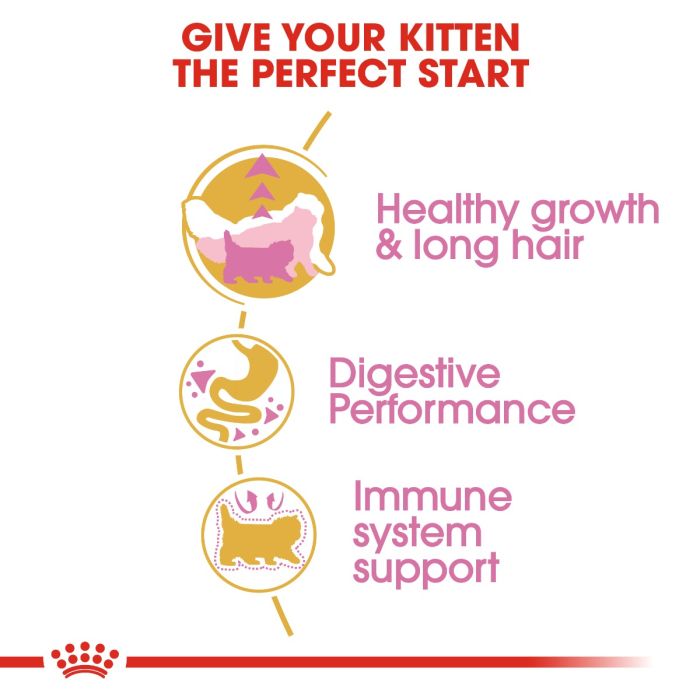 Royal Canin - Persian Kitten Dry Food 10kg