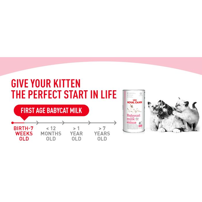 Royal Canin - Kitten Milk 300g