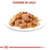 Royal Canin - Sterilised Jelly Adult Cat Food 85g