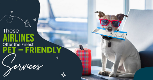 Airlines amman Jordan  pets