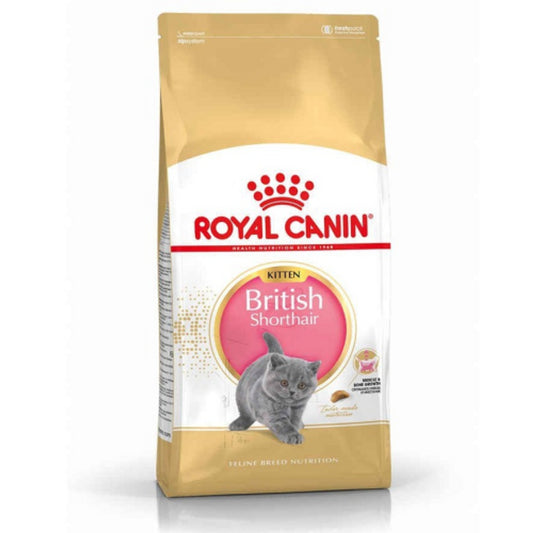 Royal Canin - British Shorthair Kitten Dry Food 2kg