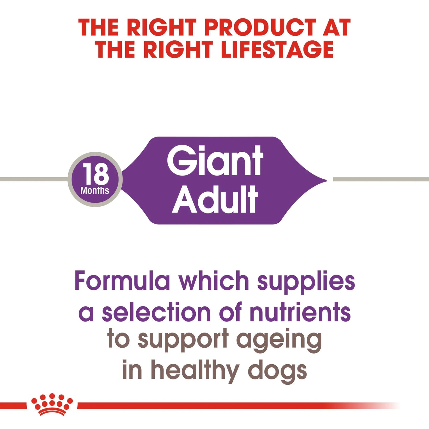 Royal Canin - Giant Adult Dog Dry Food 15kg