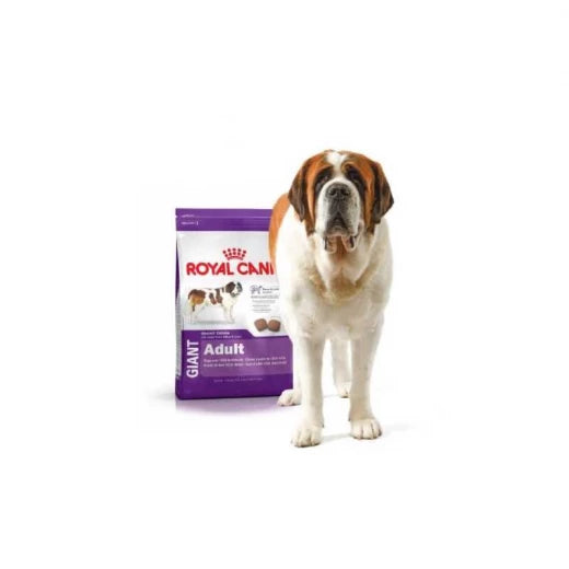 Royal Canin - Giant Adult Dog Dry Food 15kg