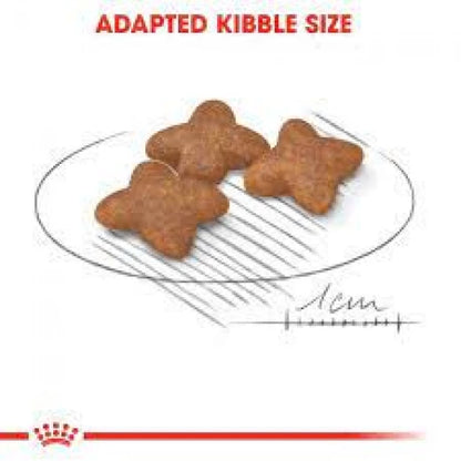 Royal Canin - Mini Adult Dog Dry Food 800g