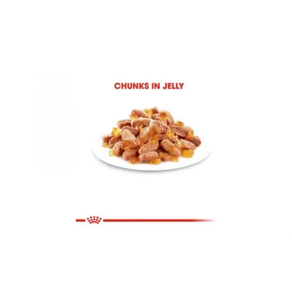 Royal Canin - Kitten Jelly 85g