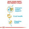 Royal Canin - Yorkshire puppy Dry Food 1.5kg