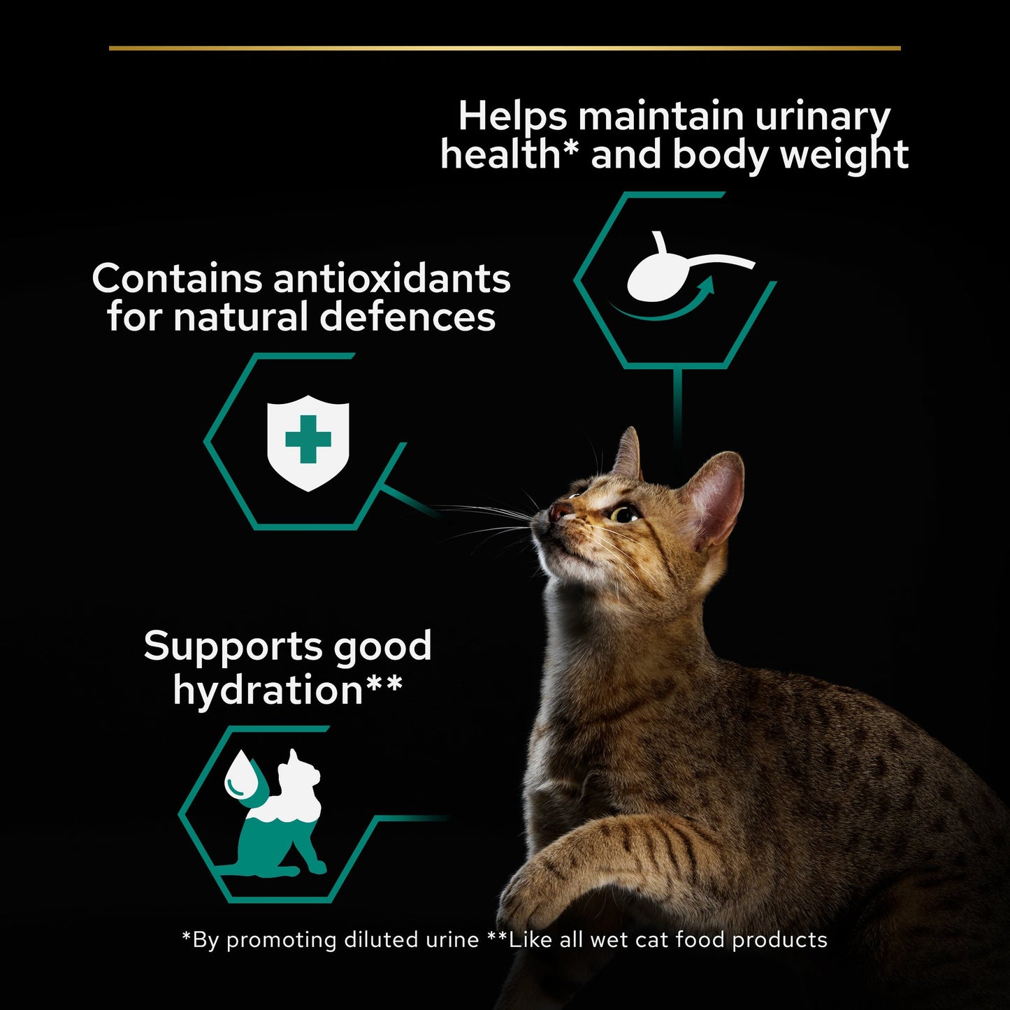 Pro Plan - Sterilized Wet Cat Food, Beef in Gravy, 26x85g