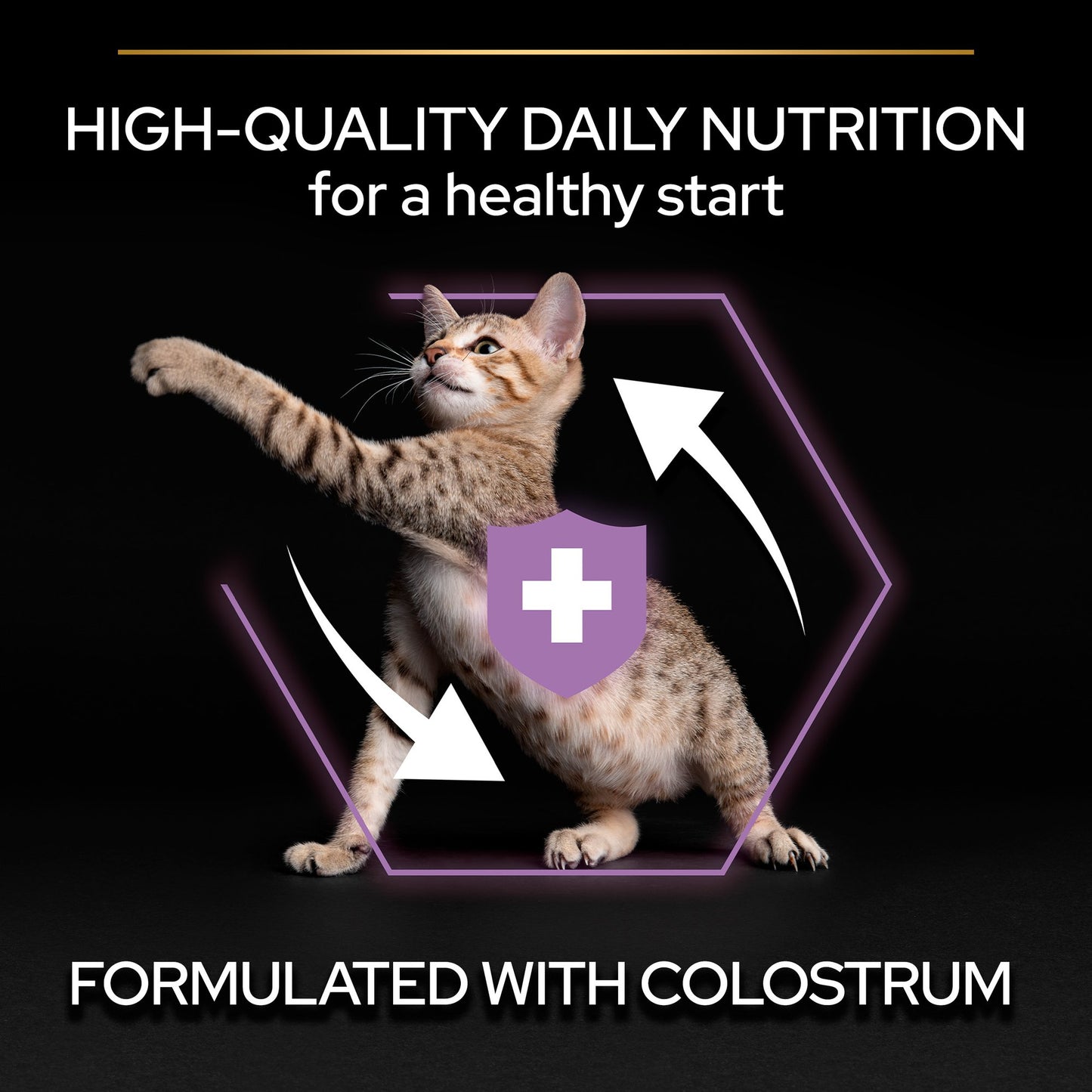 Pro Plan Kitten Healthy Start Dry Cat Food with Chicken, 400G