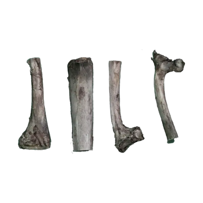 JO PRO DOG - Smoked Bone Ribs -1 PCS