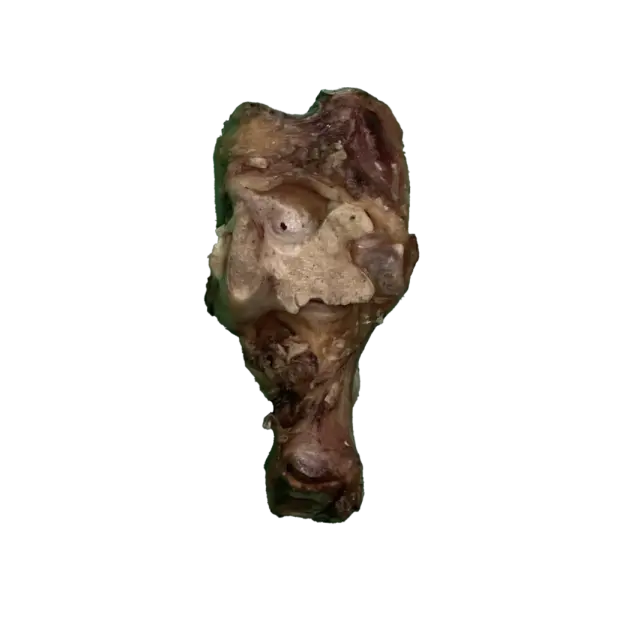 JO PRO DOG - Smoked Bone Hock -1 PCS