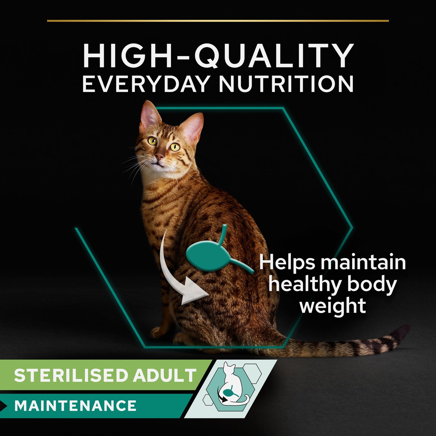 Pro Plan - Sterilized Wet Cat Food, Beef in Gravy, 26x85g