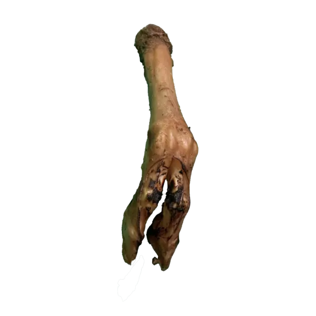 JO PRO DOG - Smoked Feet -1 PCS