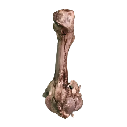 JO PRO DOG - Smoked Bone (M) - 1 PCS