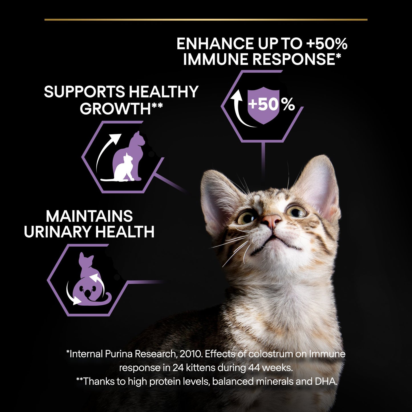 Pro Plan Kitten Healthy Start Dry Cat Food with Chicken, 400G