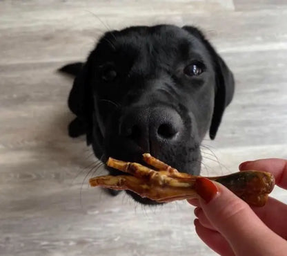 JO PRO DOG - Dried Chicken feet - 15 PCS
